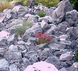 Kalksteingarten