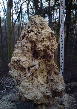 Tuffstein
