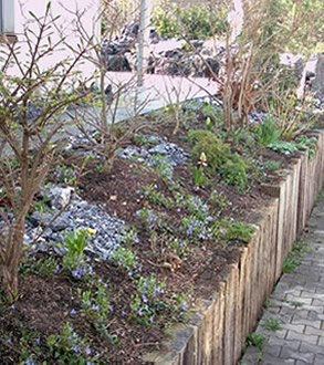 Garten mit Frühlingsbepflanzung